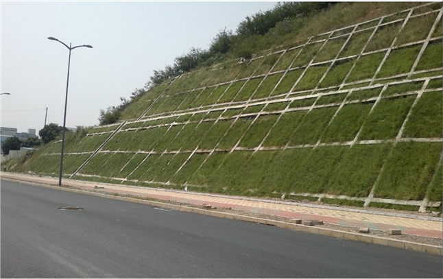 勁強方格網塑料模具為麥蓋提—喀什高速公路的貢獻